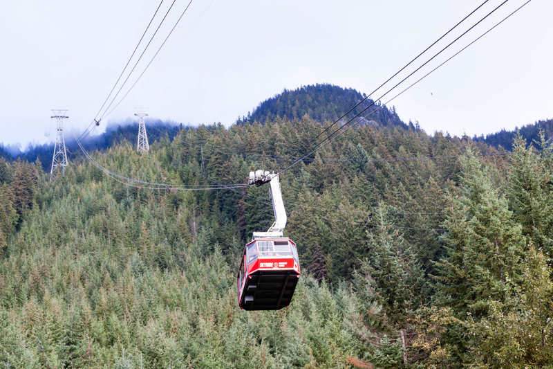 Illustration for article titled Pics from the (Mountain)side: 2016-10-10 at Grouse Mountain
